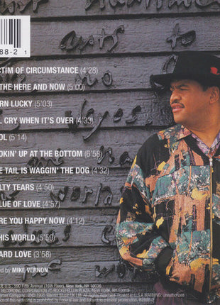 Sherman Robertson : Here & Now (CD, Album)