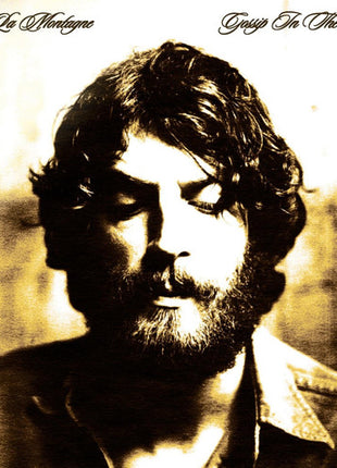 Ray LaMontagne - Gossip in the Grain (Vinyl) (New (N))