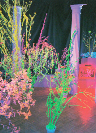 Hüsker Dü : Warehouse: Songs And Stories (CD, Album)