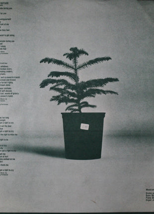 Leo Kottke : Chewing Pine (LP, Album, Jac)