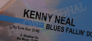 Kenny Neal : Blues Fallin' Down Like Rain (CD, Album, Enh, Promo)