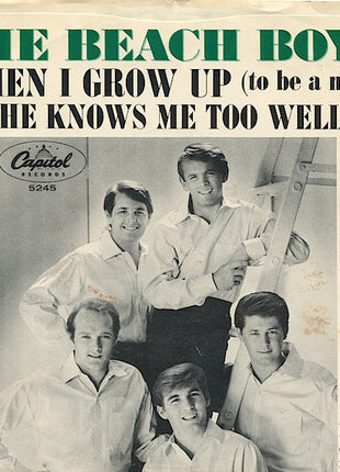 The Beach Boys : When I Grow Up (To Be A Man) (7", Single)