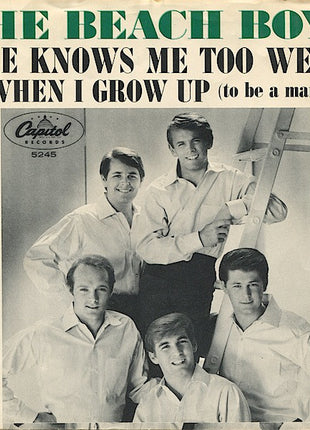 The Beach Boys : When I Grow Up (To Be A Man) (7", Single)