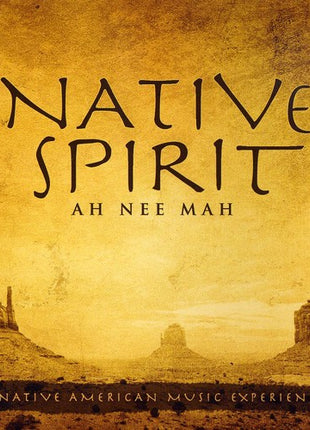 the album cover for David Arkenstone - Native Spirit