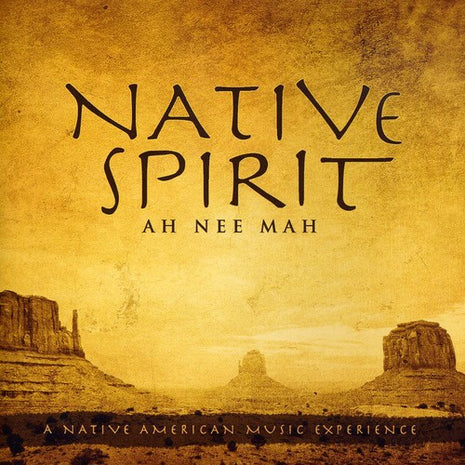 the album cover for David Arkenstone - Native Spirit