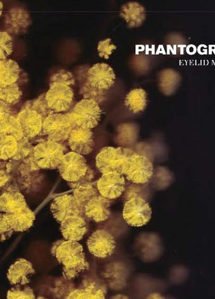 the album cover for Phantogram - Eyelid Movies
