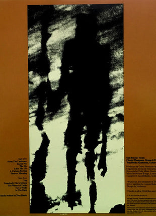 Tony Banks : A Curious Feeling (LP, Album, 26 )