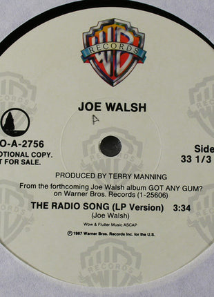 Joe Walsh : The Radio Song (12", Single, Promo)