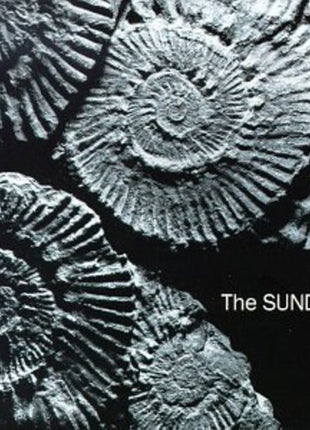 the album cover for Sundays - Reading Writing & Arithmetic