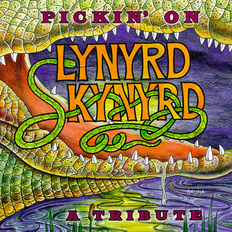 Unknown Artist : Pickin' On Lynyrd Skynyrd - A Tribute (CD, Album, Club)