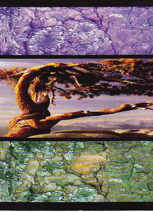 Tangerine Dream : Atlantic Walls (CD, Comp)
