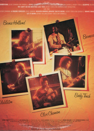 Hummingbird : We Can't Go On Meeting Like This (LP, Album, Mon)