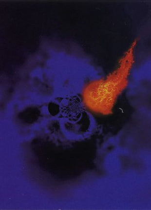 Harvey Mandel : Planetary Warrior (CD, Album)