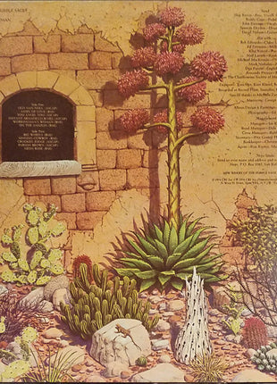 New Riders Of The Purple Sage : Brujo (LP, Album, San)