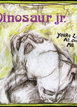 Dinosaur Jr. - You're Living All Over Me (Vinyl) (New (N))