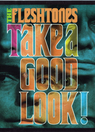 The Fleshtones : Take A Good Look! (CD, Album)