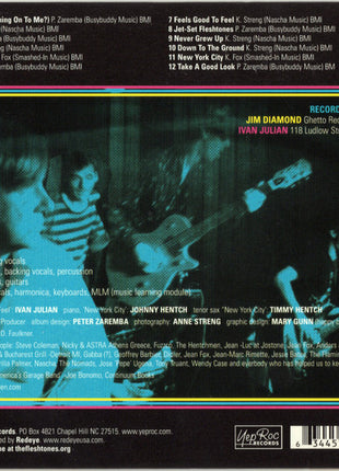 The Fleshtones : Take A Good Look! (CD, Album)