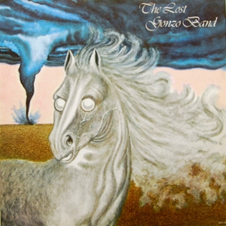The Lost Gonzo Band : The Lost Gonzo Band (LP, Album, Pin)
