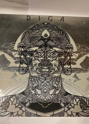 Diga Rhythm Band : Diga (LP, Album)