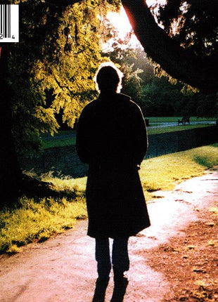 Robyn Hitchcock : Luxor (CD, Album)