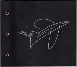 The Smashing Pumpkins : The Aeroplane Flies High (5xCD, Single + Box, Comp, RE)