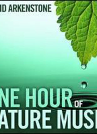 the album cover for David Arkenstone - One Hour of Nature Music