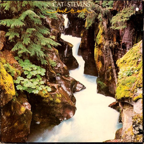 Cat Stevens : Back To Earth (LP, Album)