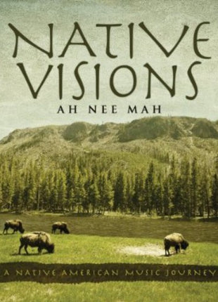 the album cover for Ah Nee Mah - Native Visions: A Native American Music Journey