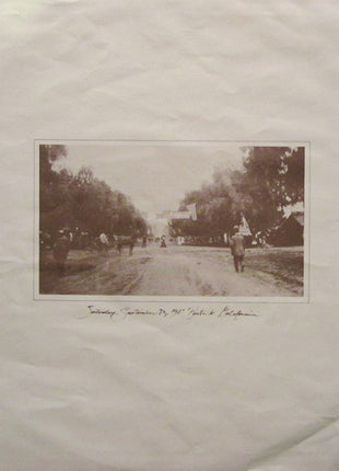 Maria Muldaur : Sweet Harmony (LP, Album, Ter)