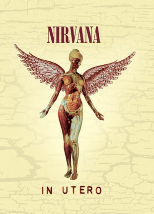 the album cover for Nirvana - In Utero: 20th Anniversary [Remastered]