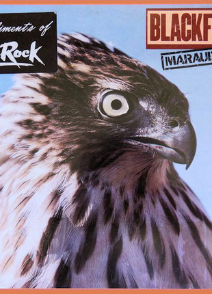 Blackfoot (3) : Marauder (LP, Album, SP )