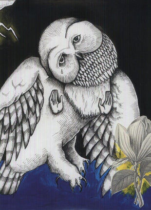 Songs: Ohia - Magnolia Electric Company Co (Vinyl) (New (N))