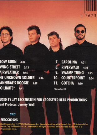Spyro Gyra : Point Of View (CD, Album, Club)