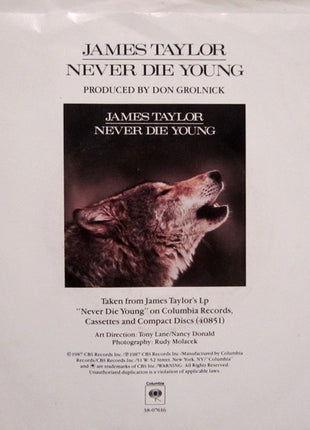 James Taylor (2) : Never Die Young (7", Styrene, Car)