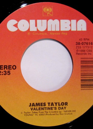 James Taylor (2) : Never Die Young (7", Styrene, Car)