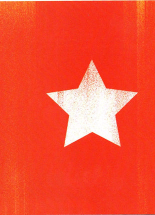 Steve Earle : The Revolution Starts Now (CD, Album)