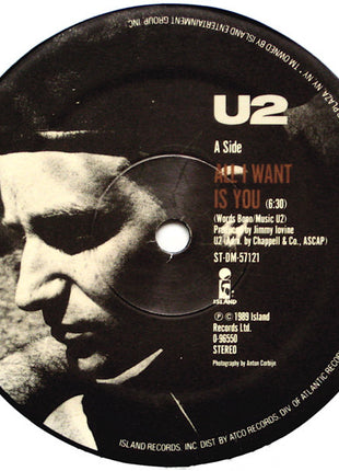 U2 : All I Want Is You (12", Single)