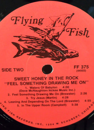 Sweet Honey In The Rock : Feel Something Drawing Me On (LP, Album)