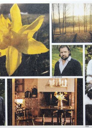 Ray LaMontagne And The Pariah Dogs : God Willin' & The Creek Don't Rise (CD, Album, Gat)