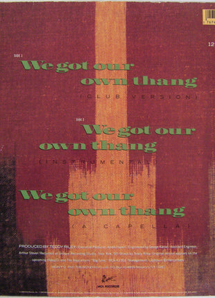 Heavy D. & The Boyz : We Got Our Own Thang (12", Single)