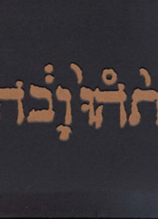 the album cover for Godspeed You! Black Emperor - Slow Riot for New Zero Kanada