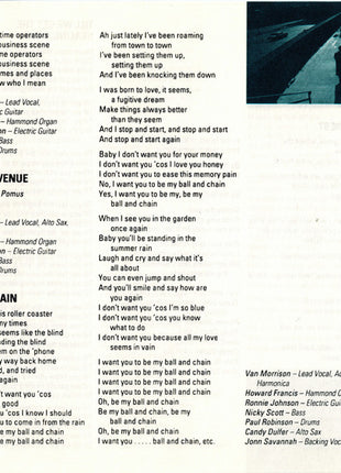 Van Morrison : Too Long In Exile (CD, Album)