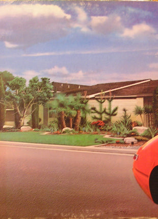 Carpenters : Now & Then (LP, Album, Pit)