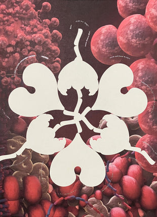 Björk : The Fossora Remixes (12", RSD, Single, Ltd, Cle)