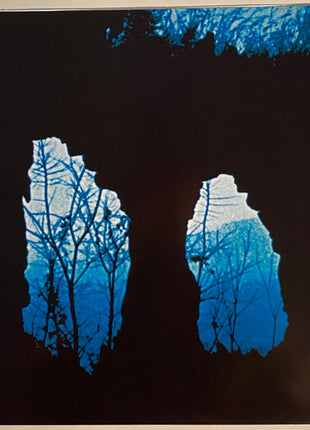 Edgar Froese : Ages (LP, Fro + LP, Fro + Album, RSD, RE, RM)