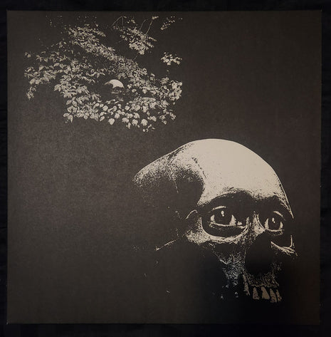 Thee Oh Sees : A Foul Form (LP, Album, Ltd, RP, Gre)