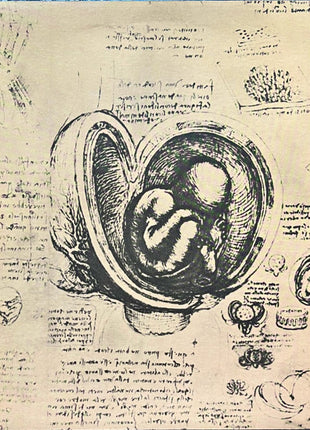 Mother's Finest : Mother's Finest (LP, Album, Gat)