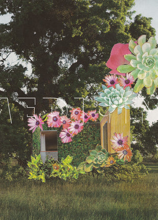 the album cover for Medicine - Home Everywhere [Vinyl]