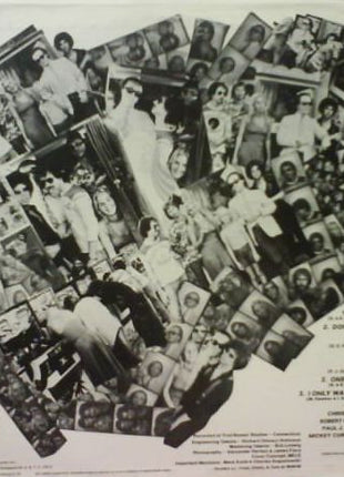 The Scratch Band : The Scratch Band (LP, Album)