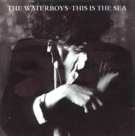 The Waterboys : This Is The Sea (CD, Album, RE)